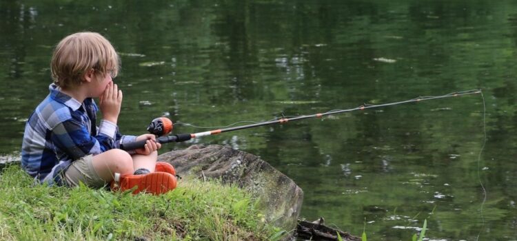 Ferienzentrum-Camping-Urlaub-Wohnmobil-Stellplatz-Ferien-Wohnwagen-Zelt-A1-Heidenau-Angelsport-Angeln-12